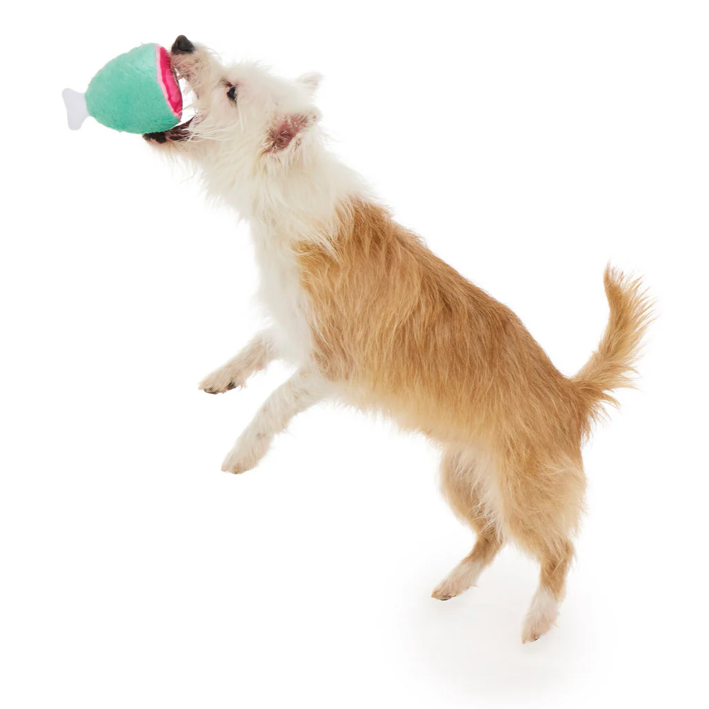 Feast Fetched for a King Plush Multi-Part Dog Toy - Image 3