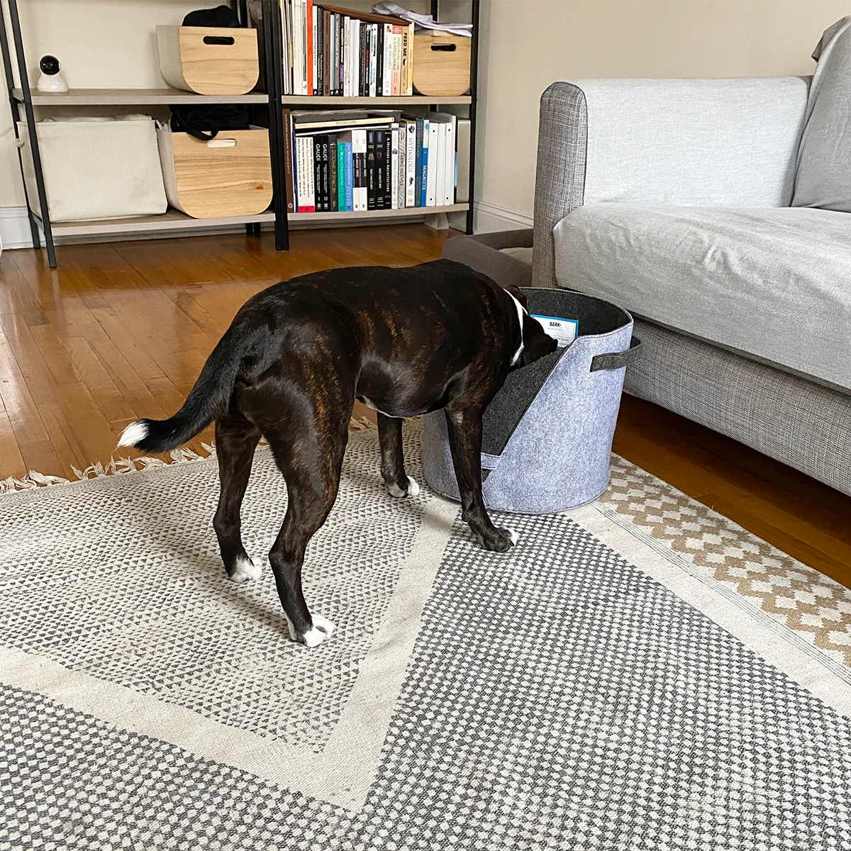 Felt Dog Toy Bin - Image 8