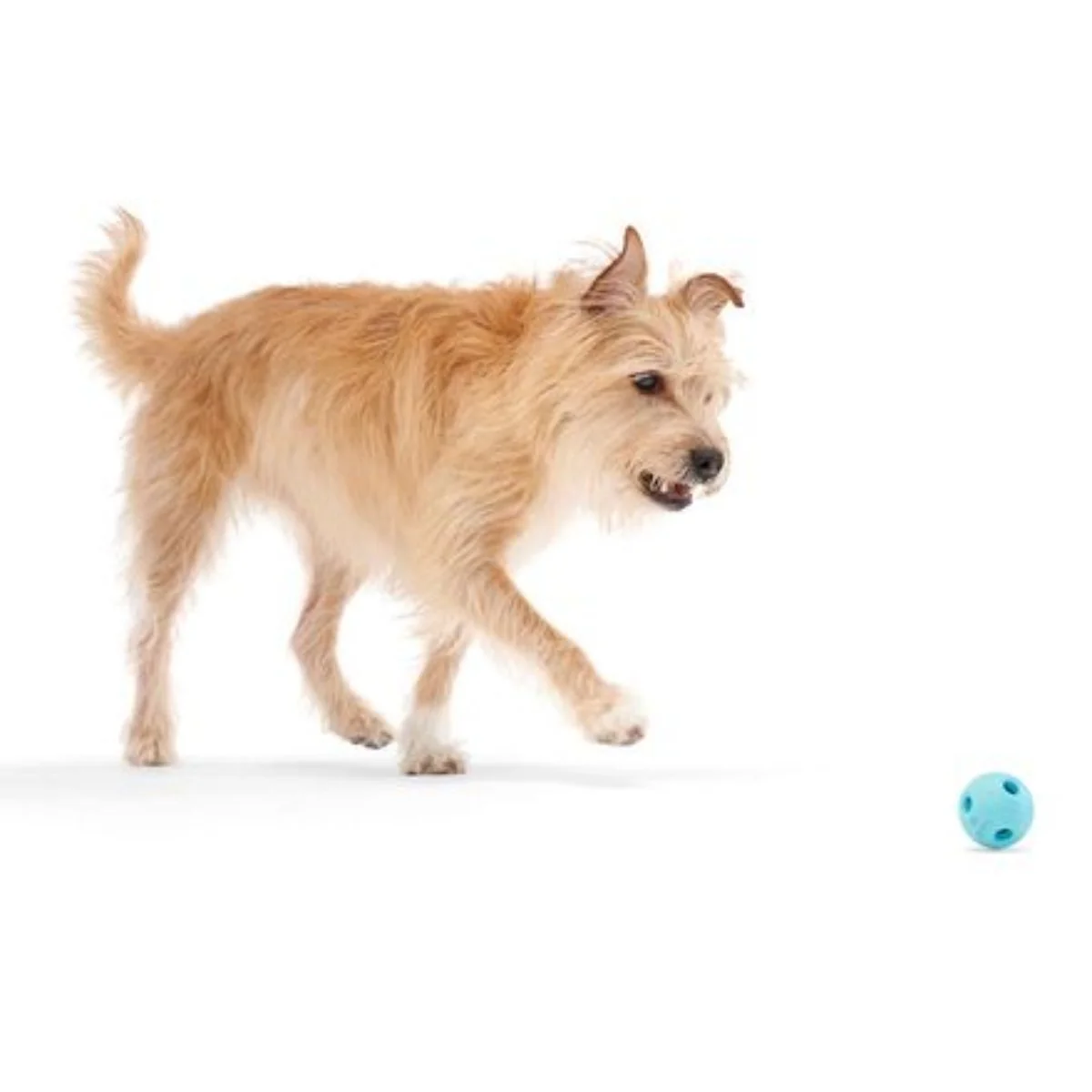 Fetchapult Fetch Dog Toy - Image 4