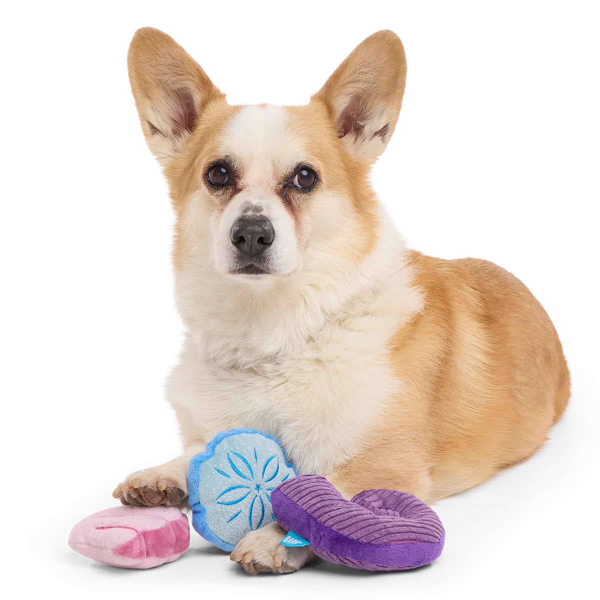 Fetchin' Squeakshells Plush Multi-Part Dog Toy - Image 3