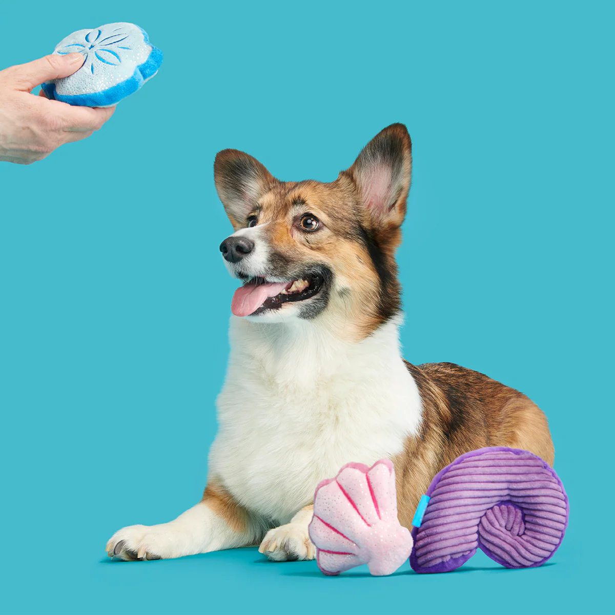 Fetchin' Squeakshells Plush Multi-Part Dog Toy - Image 4