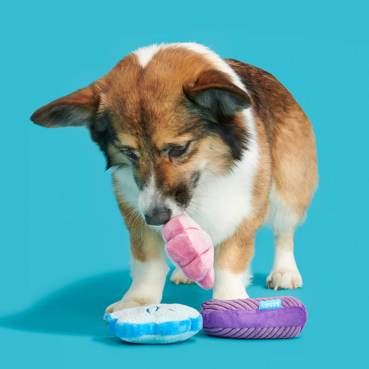 Fetchin' Squeakshells Plush Multi-Part Dog Toy - Image 5