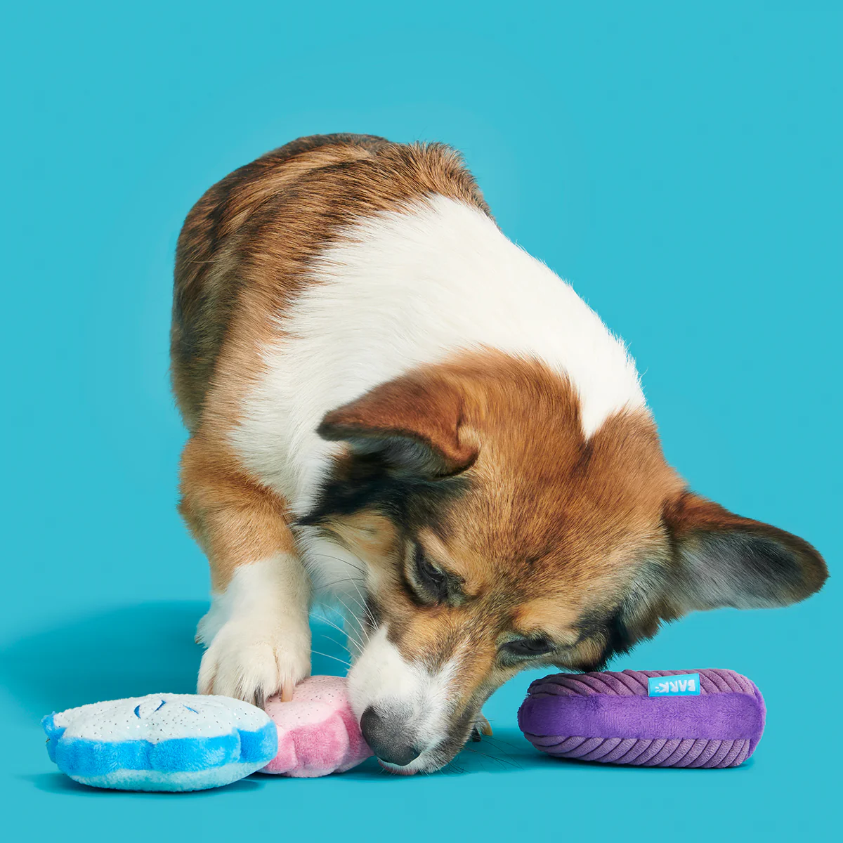 Fetchin' Squeakshells Plush Multi-Part Dog Toy - Image 6