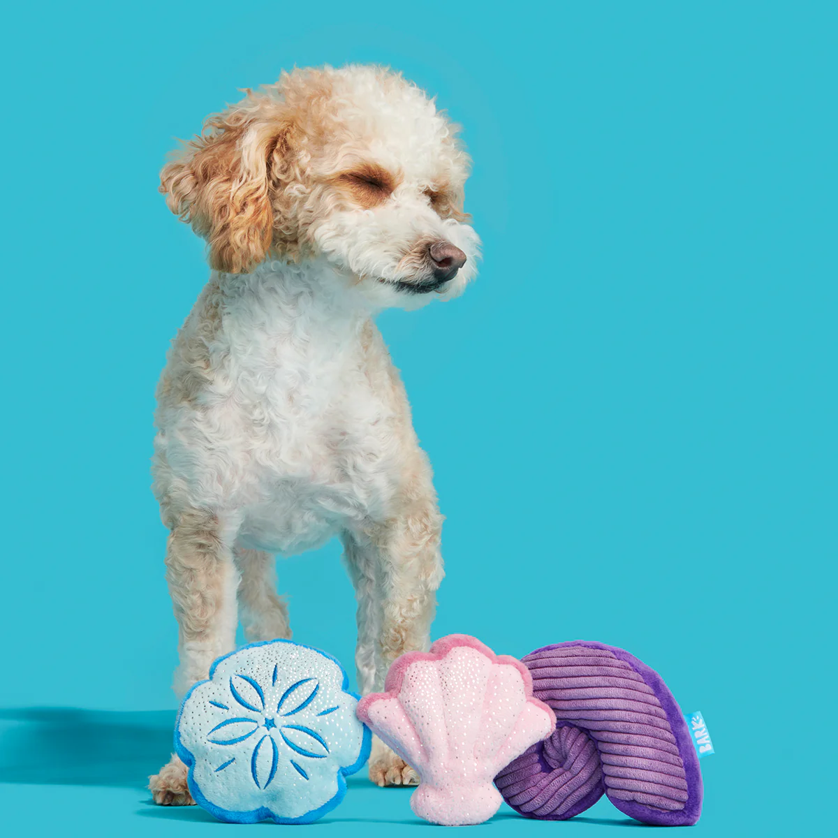 Fetchin' Squeakshells Plush Multi-Part Dog Toy - Image 7