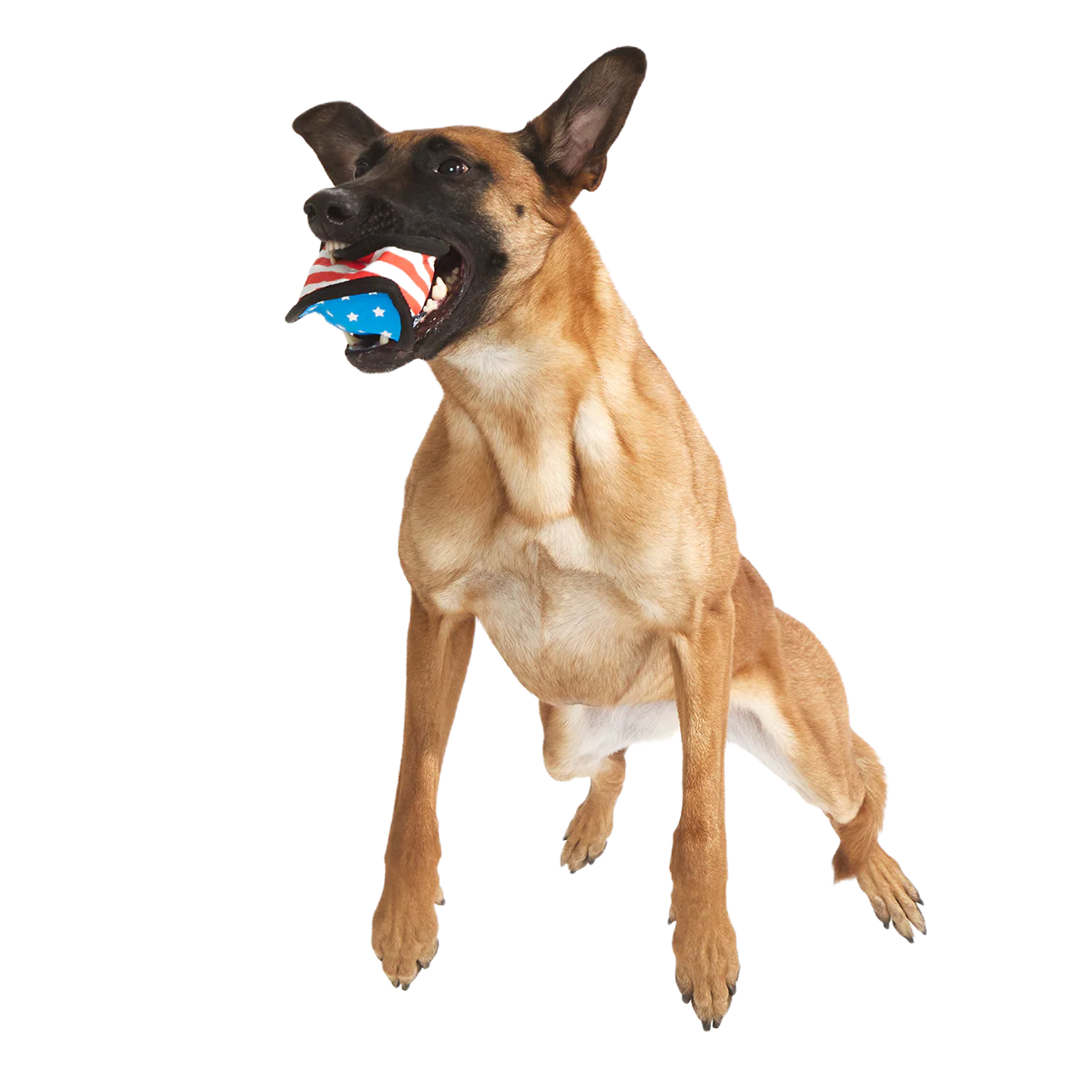 Flag Toofball Super Chewer Durable 2-in-1 + Fetch Dog Toy - Image 2
