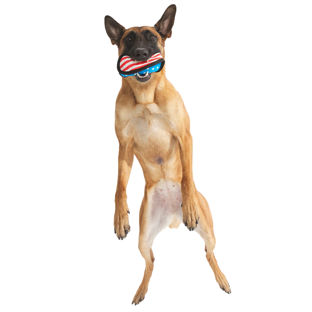 Flag Toofball Super Chewer Durable 2-in-1 + Fetch Dog Toy - Image 3