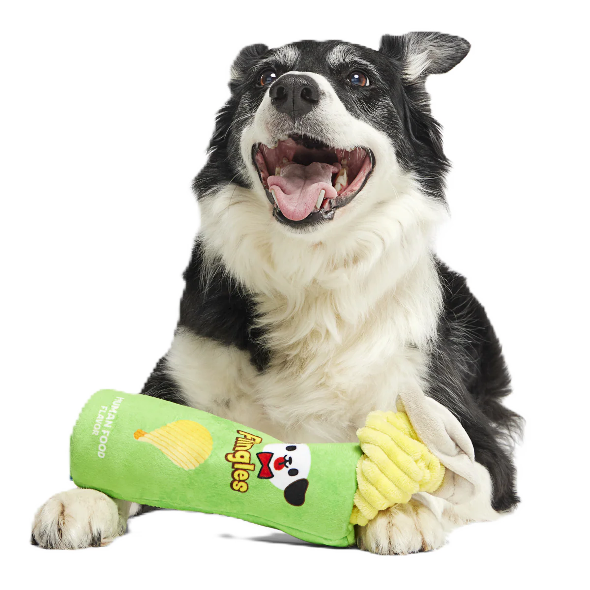 Flingles Can Plush Tug Dog Toy - Image 2