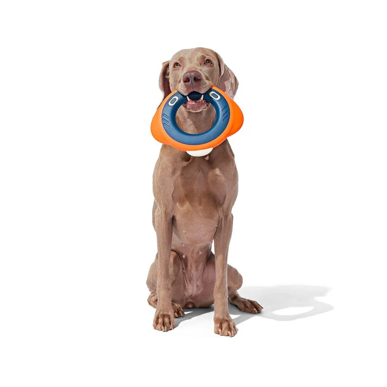 Flingray - Image 4