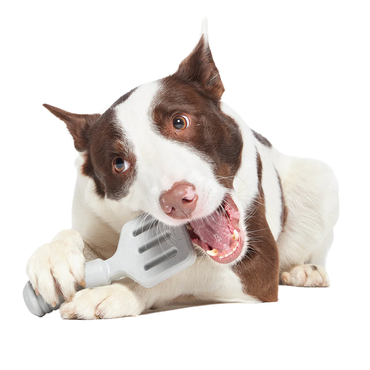 Flip It Good Spatula Super Chewer Durable Gnaw Dog Toy - Image 3