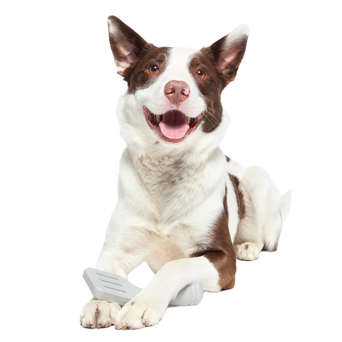 Flip It Good Spatula Super Chewer Durable Gnaw Dog Toy - Image 4