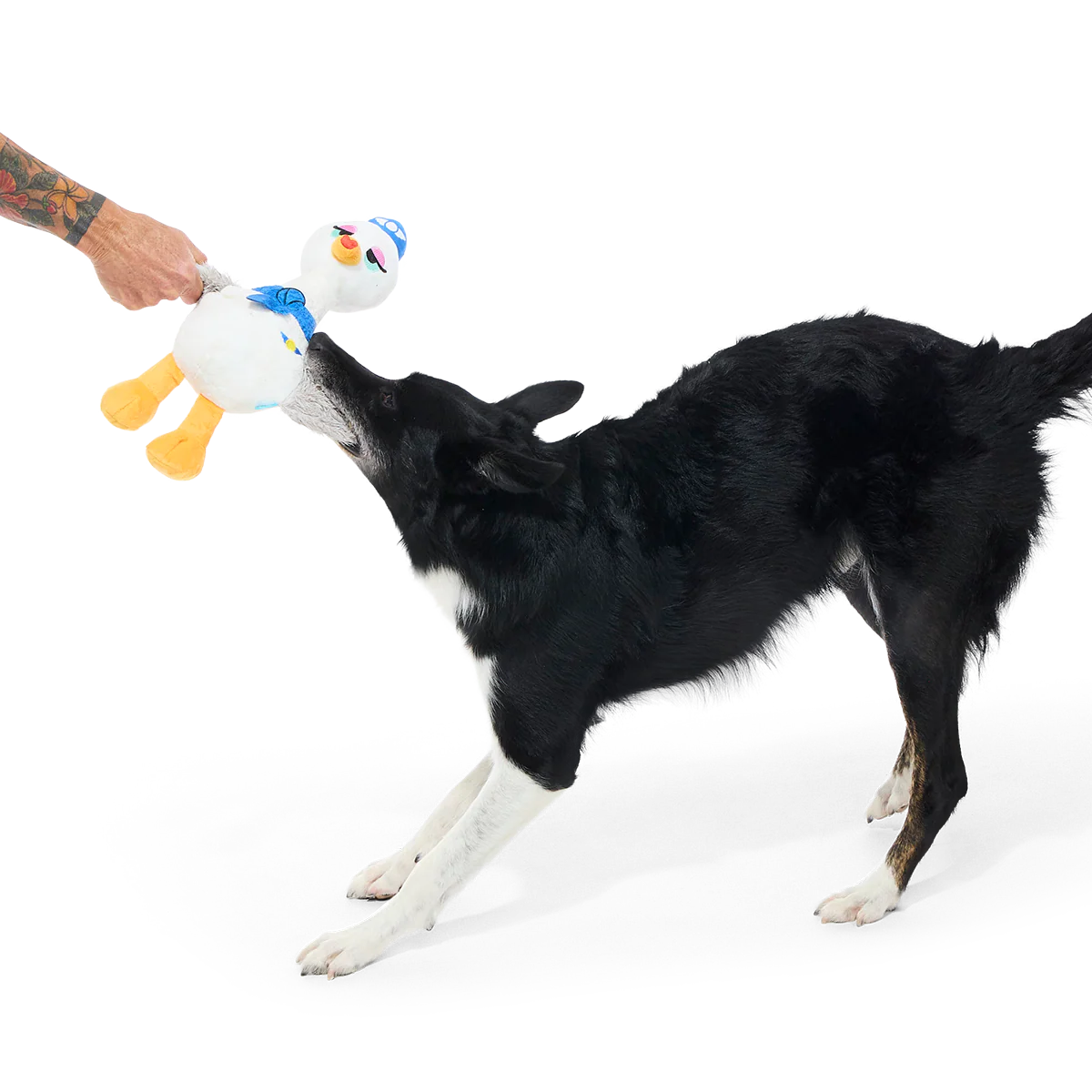Flying Attendant Plush Tug Dog Toy - Image 3