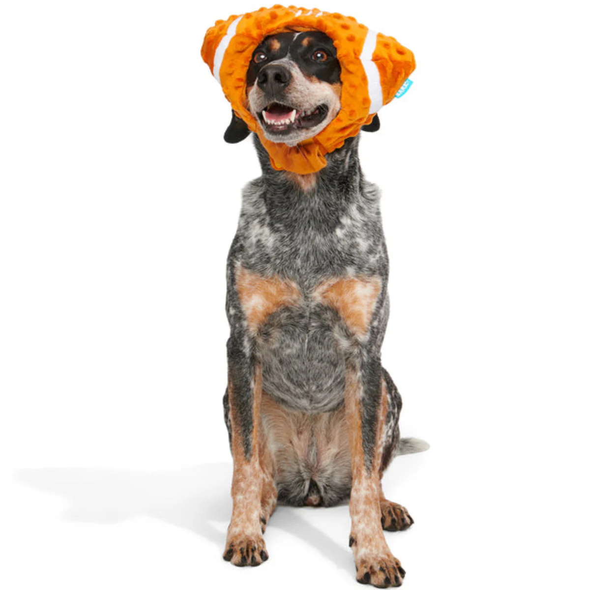 Football Head Plush Wearable Dog Toy - Image 4