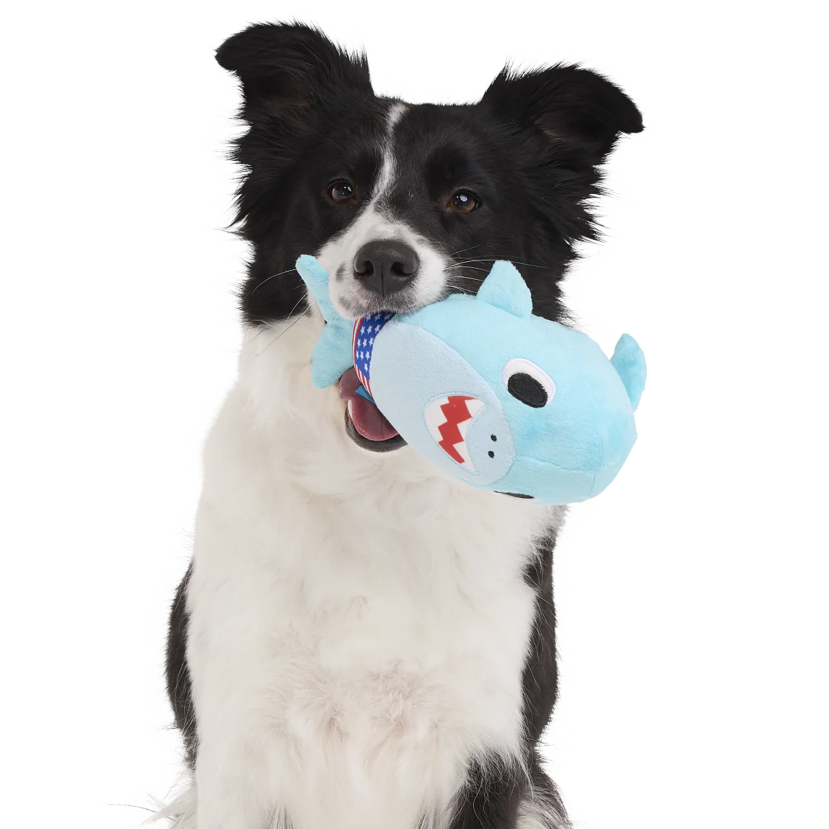 Fourth Of Jawly Jake Plush Tug Dog Toy - Image 3