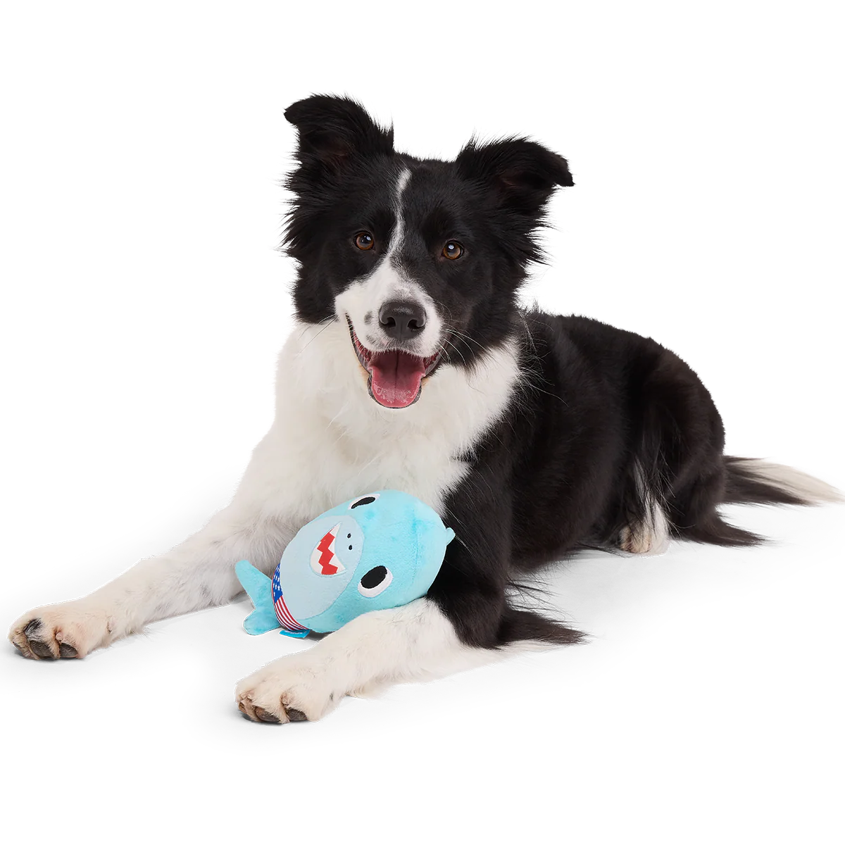 Fourth Of Jawly Jake Plush Tug Dog Toy - Image 4
