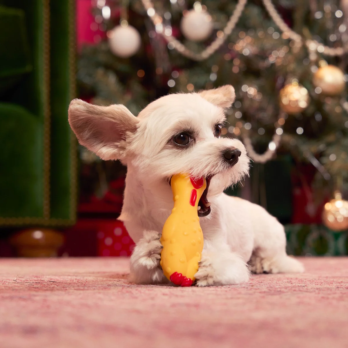 Fozziwig Factory Prop Chicken Durable Super Chewer Gnaw Dog Toy - Image 8