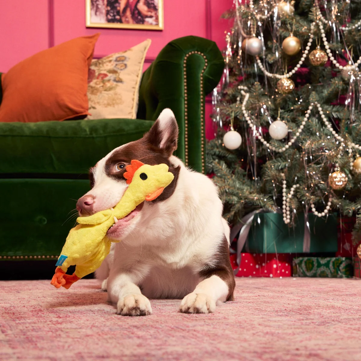 Fozziwig’s Rubber Chicken Plush Tug Dog Toy - Image 5