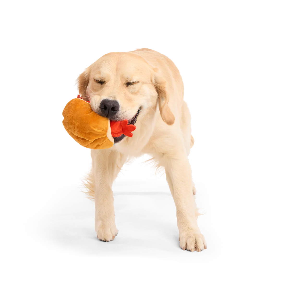 Frank Flirter Plush Tug Dog Toy - Image 4