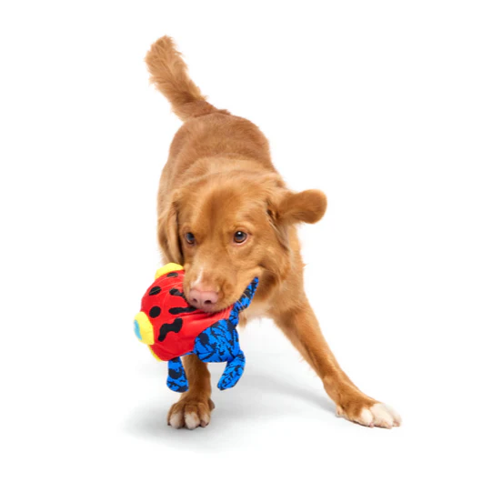Freckles the Frog Plush 2-in-1 Rip and Reveal Dog Toy - Image 4