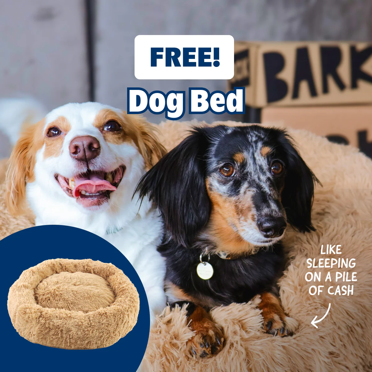 FREE Cuddler Dog Bed (Sand)! - Image 2