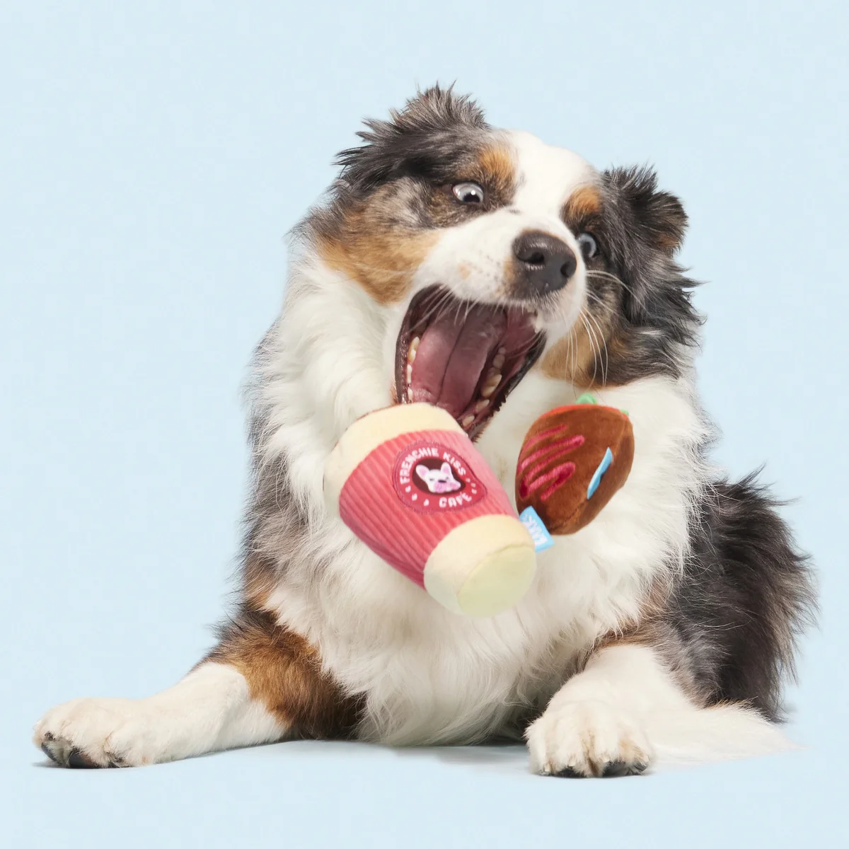 French Kiss Coffee Kit Plush Multi-Part Dog Toy - Image 3