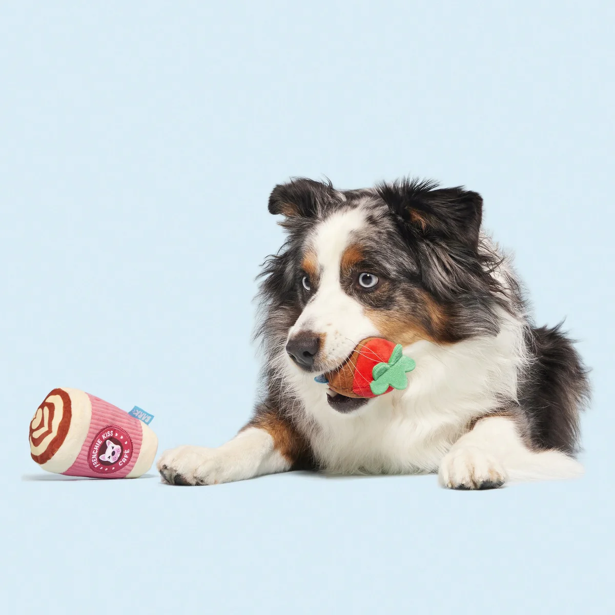 French Kiss Coffee Kit Plush Multi-Part Dog Toy - Image 4
