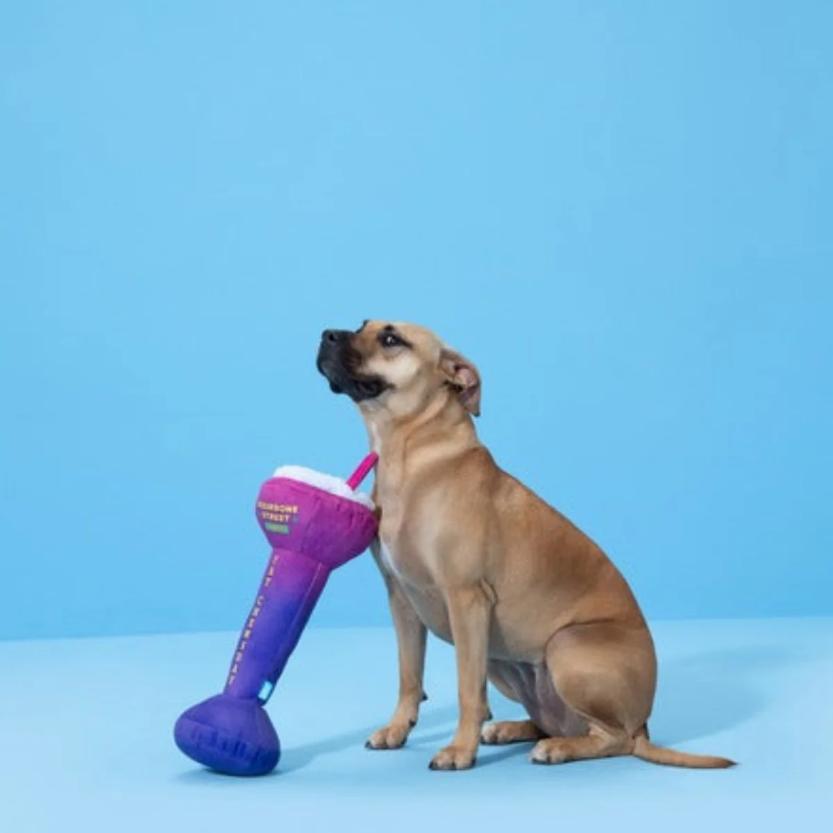 Frenchie Quarter Cocktail Plush Dog Toy - Image 3