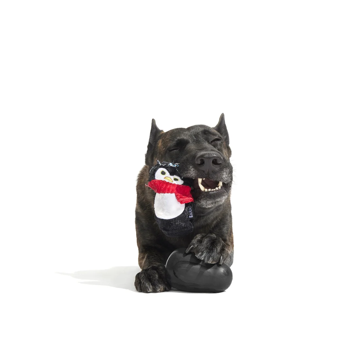 Friendguin Super Chewer Durable 2-in-1  Dog Toy - Image 7