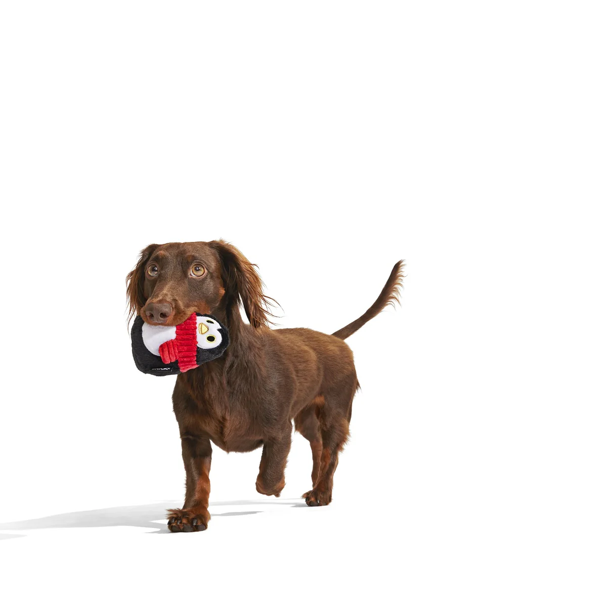 Friendguin Super Chewer Durable 2-in-1  Dog Toy - Image 8