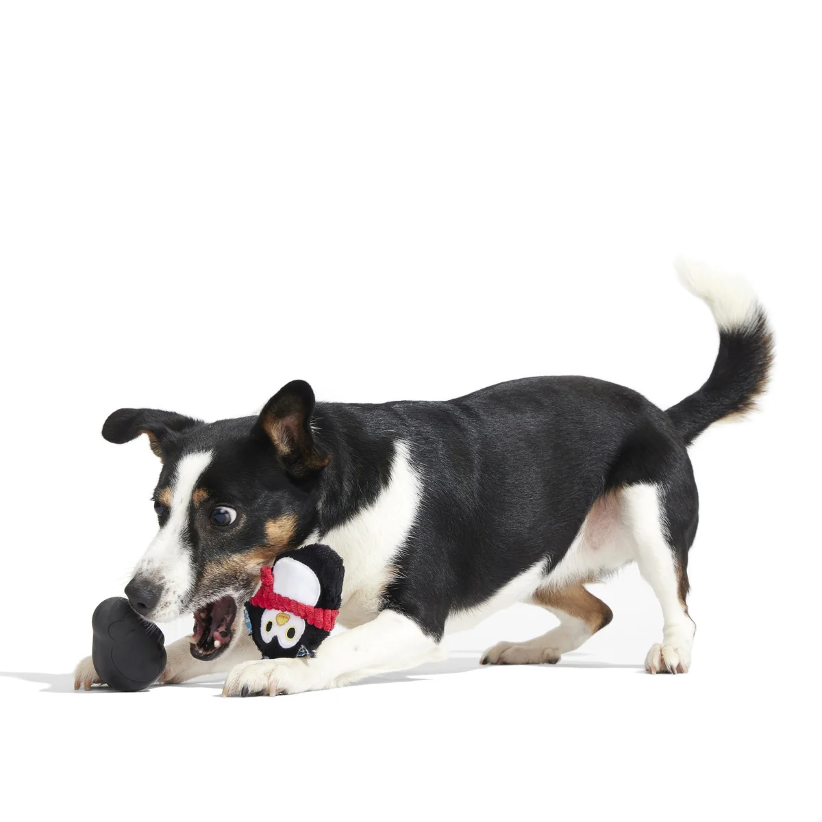 Friendguin Super Chewer Durable 2-in-1  Dog Toy - Image 9