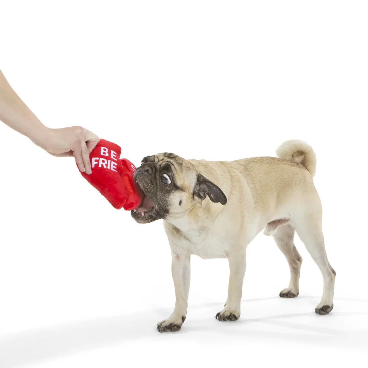 Friends Furever Plush Wearable Tug + Multi-Part Dog Toy - Image 3