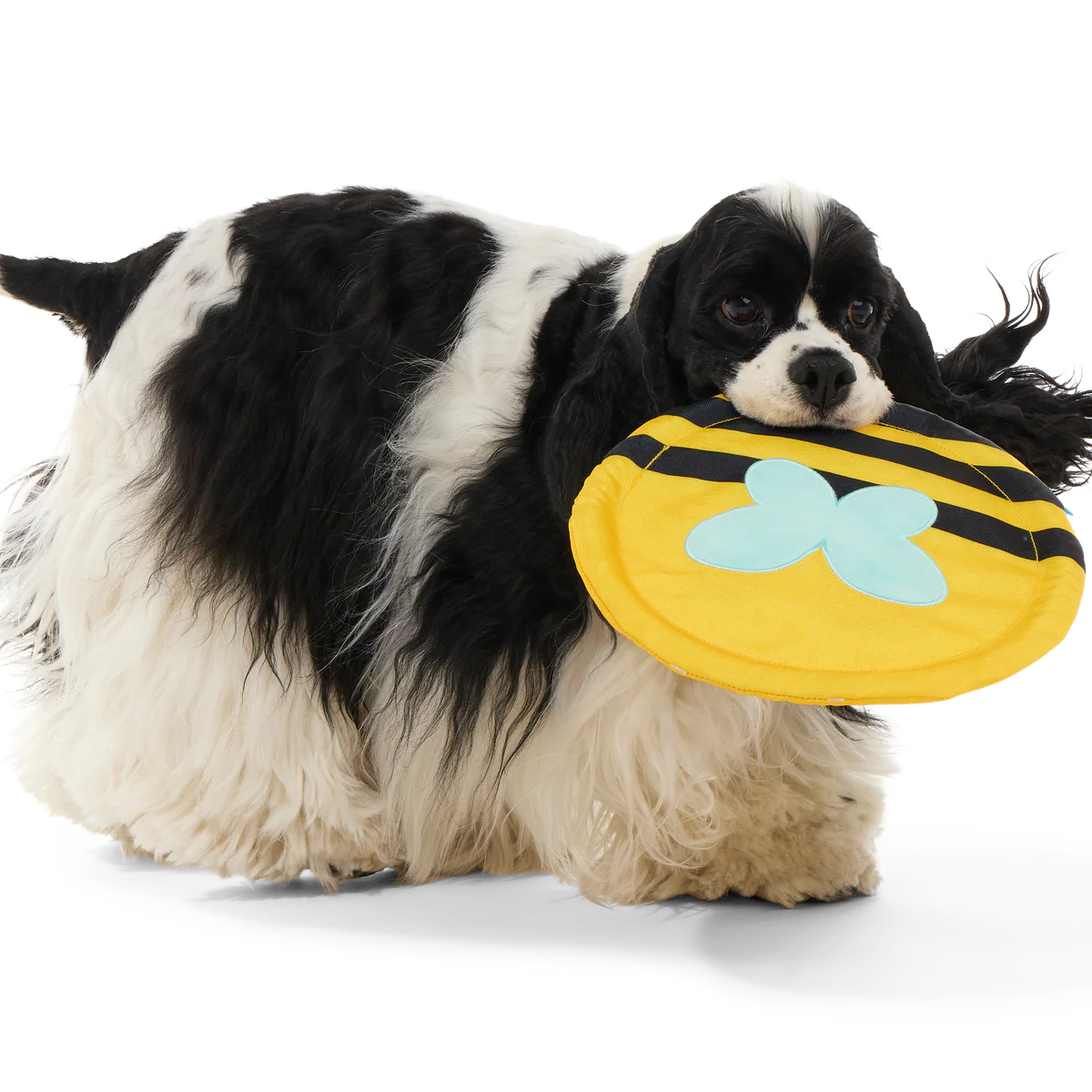Fritz Bee Fetch Dog Toy - Image 3
