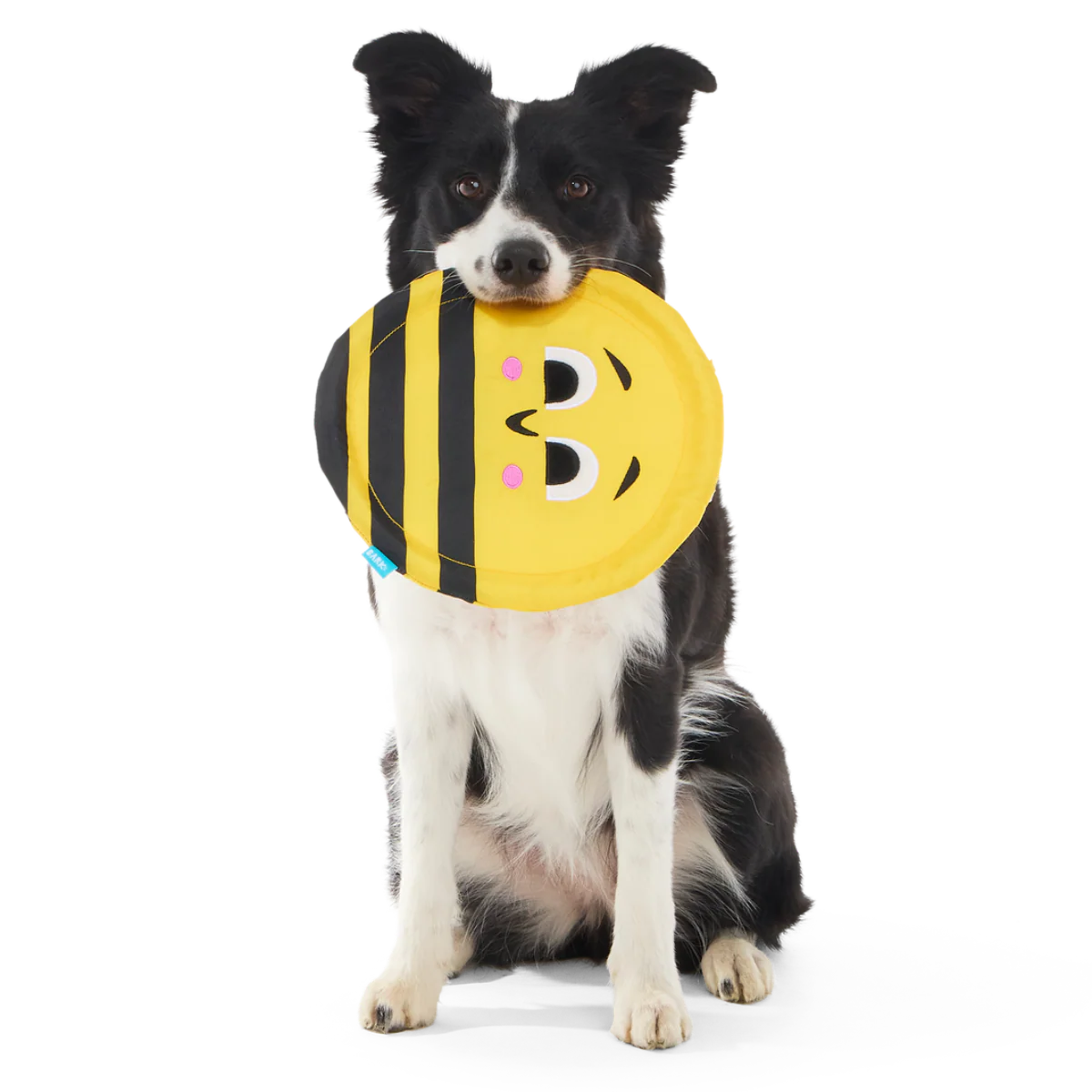 Fritz Bee Fetch Dog Toy - Image 4