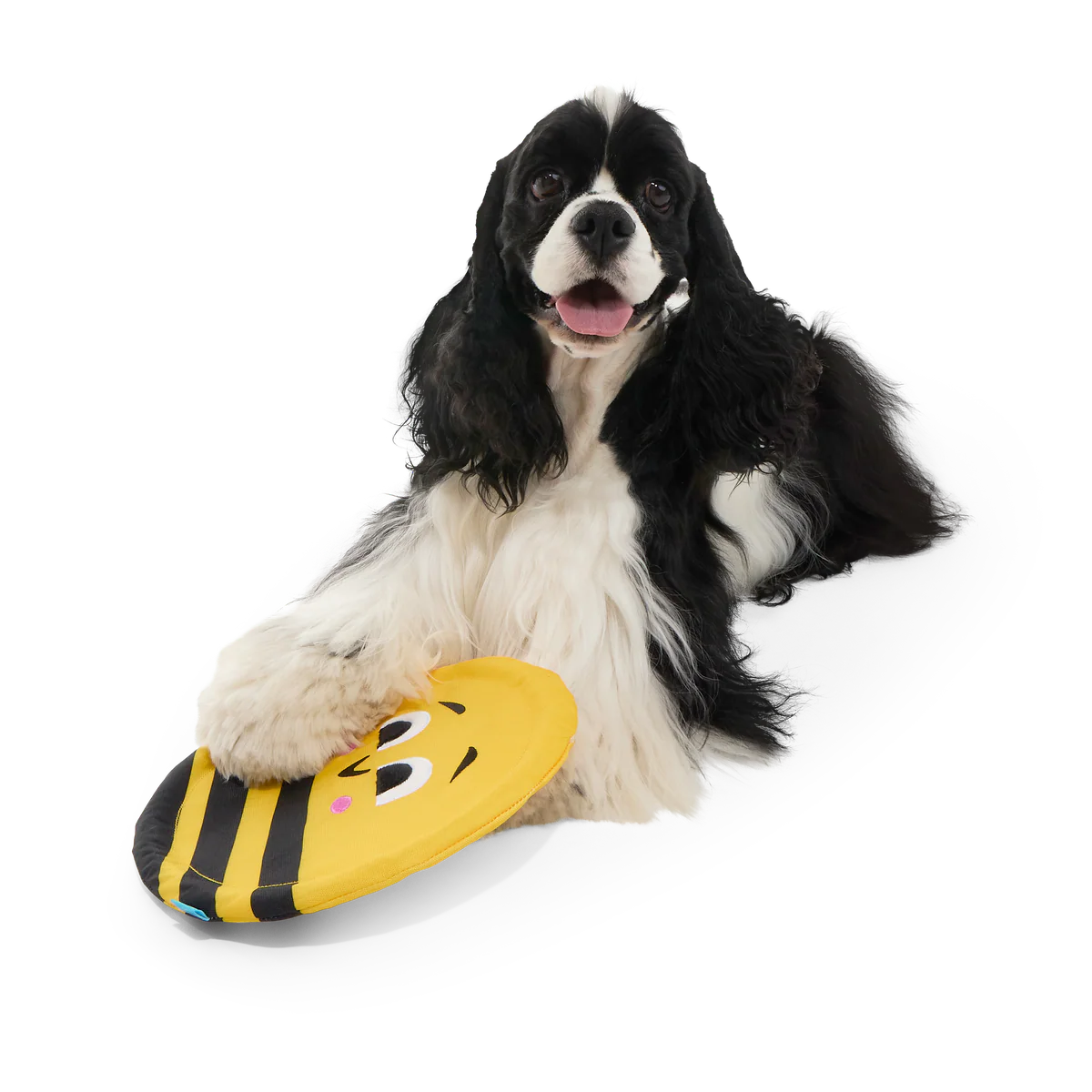Fritz Bee Fetch Dog Toy - Image 5