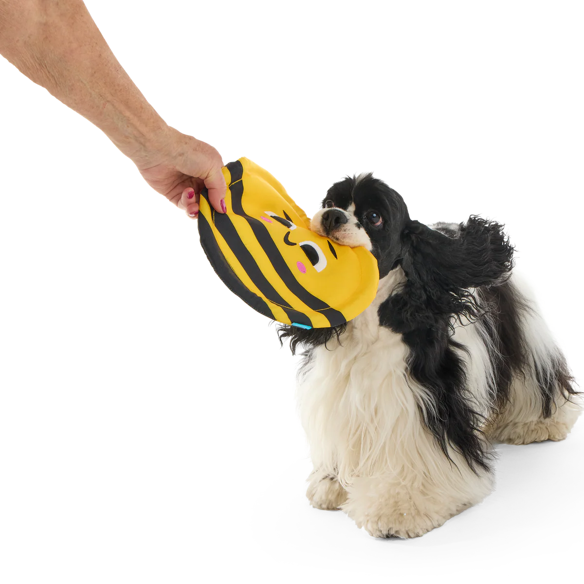 Fritz Bee Fetch Dog Toy - Image 6