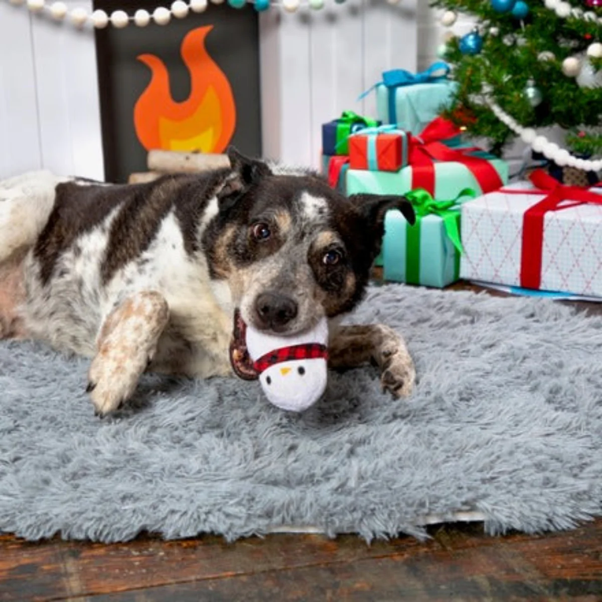 Frost Boss Durable Super Chewer 2-in-1 Rip and Reveal Dog Toy - Image 4