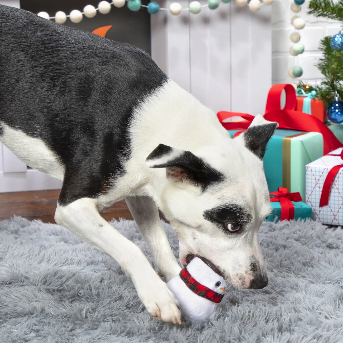 Frost Boss Durable Super Chewer 2-in-1 Rip and Reveal Dog Toy - Image 5