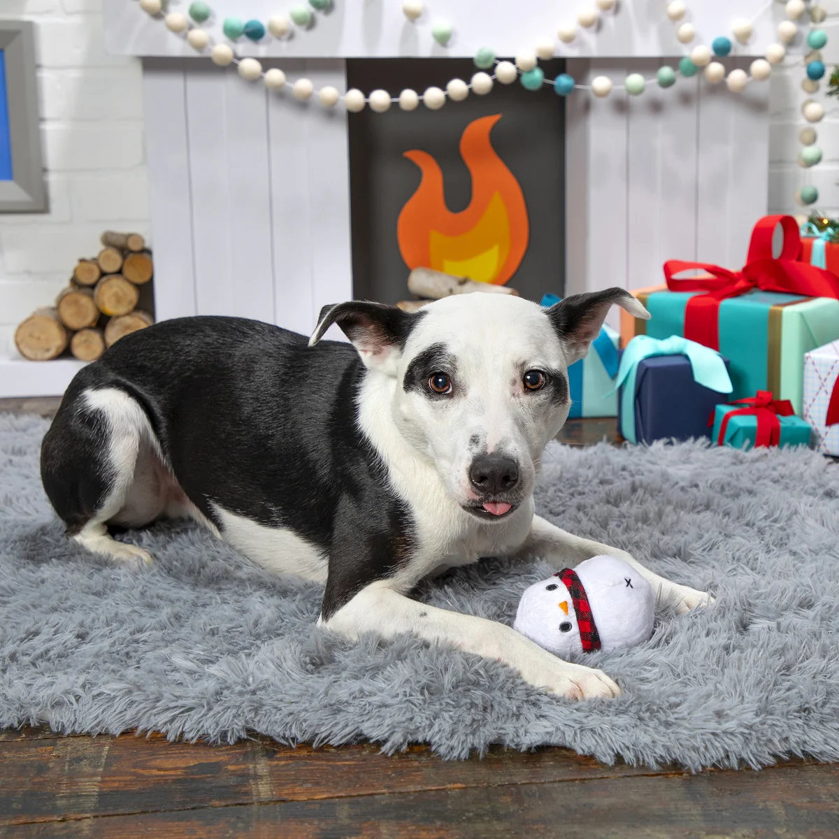Frost Boss Durable Super Chewer 2-in-1 Rip and Reveal Dog Toy - Image 6
