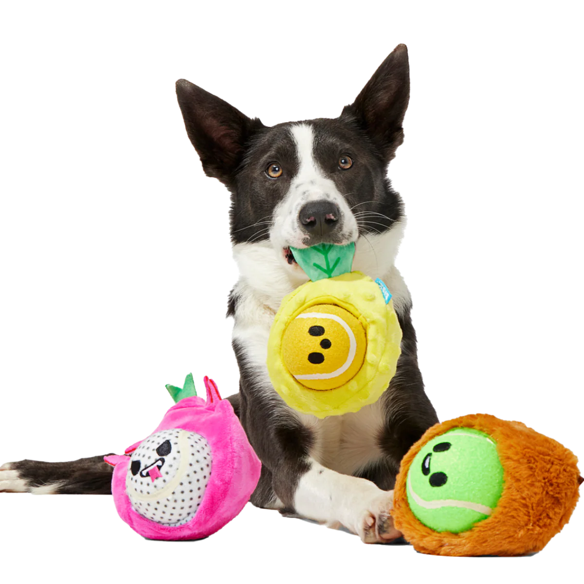 Fruity Cutie Tropical Trio Plush Multi-Part + Fetch Dog Toy - Image 2