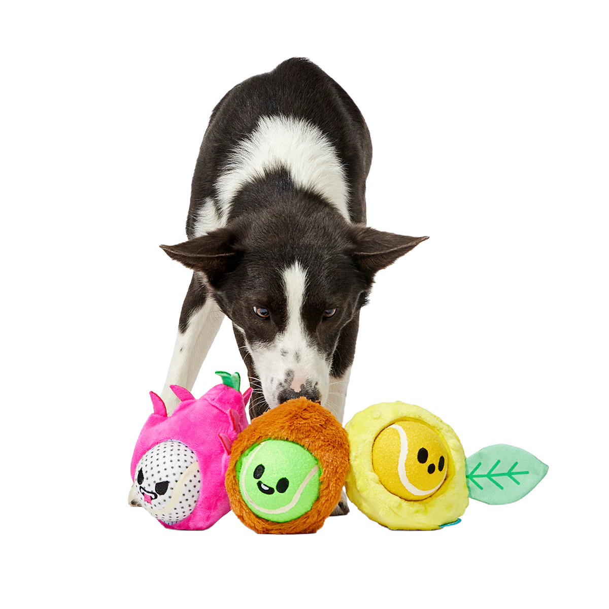 Fruity Cutie Tropical Trio Plush Multi-Part + Fetch Dog Toy - Image 3