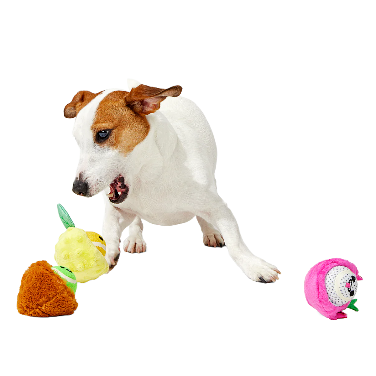 Fruity Cutie Tropical Trio Plush Multi-Part + Fetch Dog Toy - Image 4