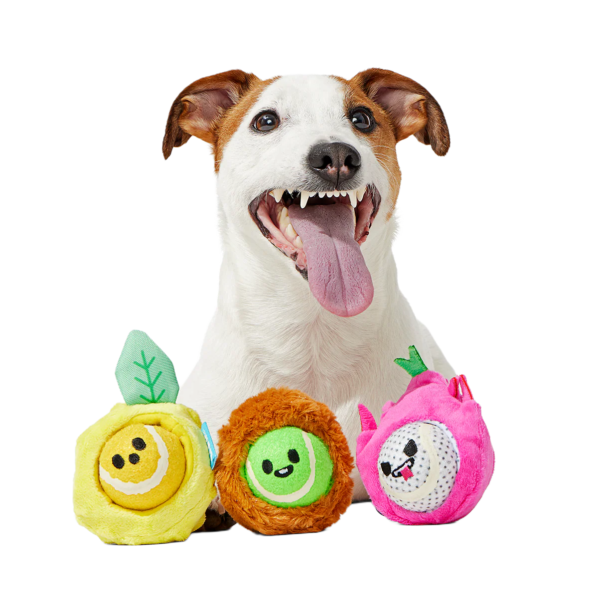 Fruity Cutie Tropical Trio Plush Multi-Part + Fetch Dog Toy - Image 5