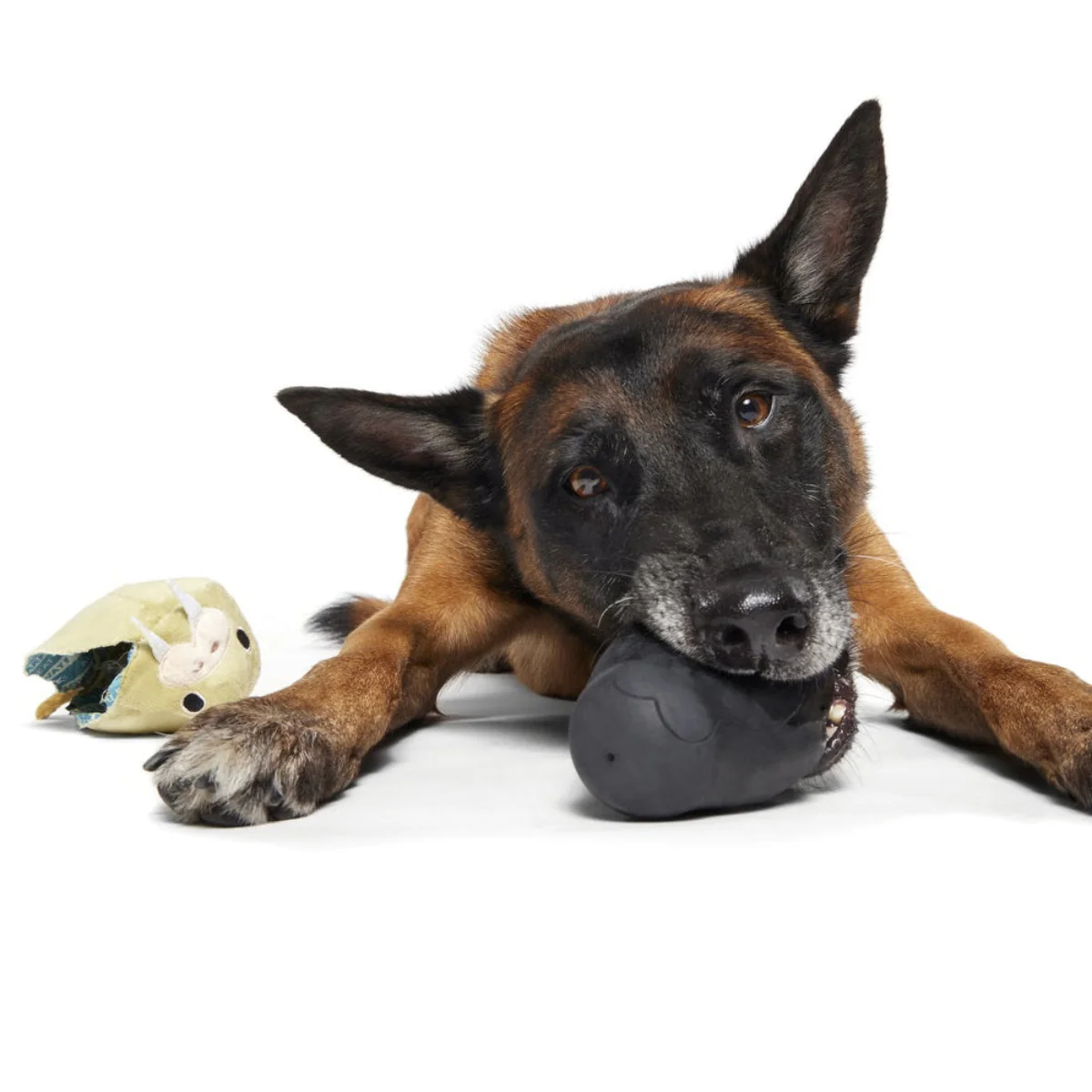 Full Belly Wally Super Chewer Durable 2-in-1 Dog Toy - Image 3