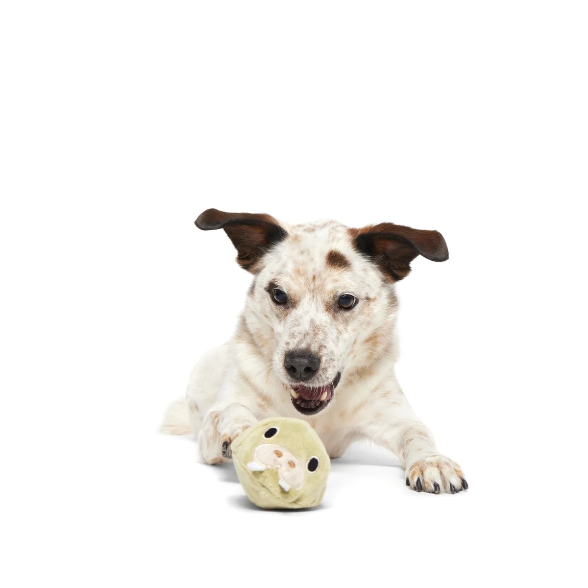 Full Belly Wally Super Chewer Durable 2-in-1 Dog Toy - Image 5