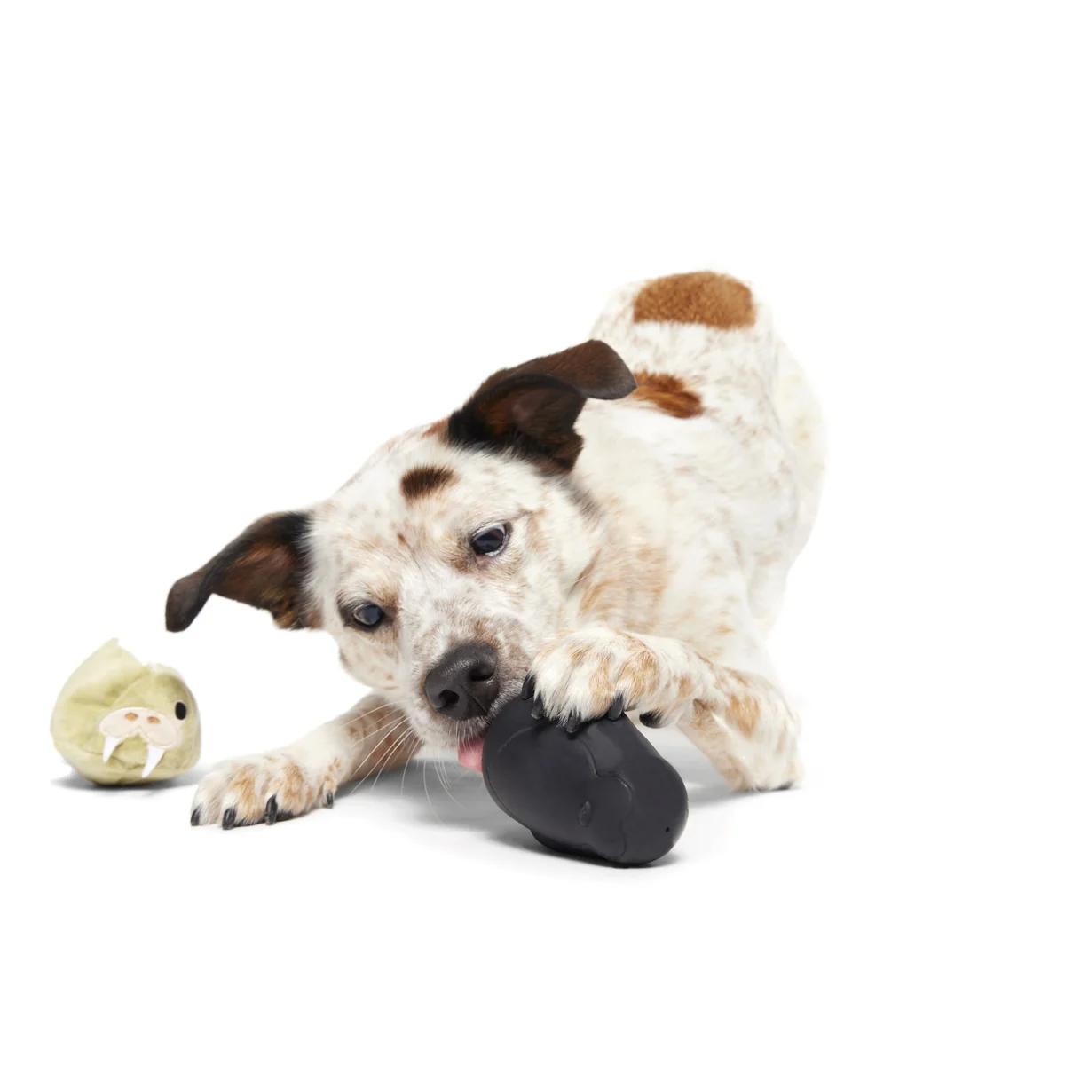 Full Belly Wally Super Chewer Durable 2-in-1 Dog Toy - Image 6
