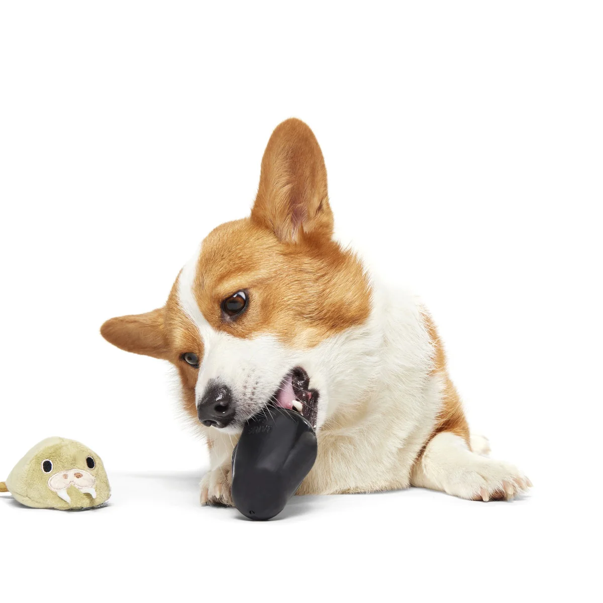 Full Belly Wally Super Chewer Durable 2-in-1 Dog Toy - Image 8
