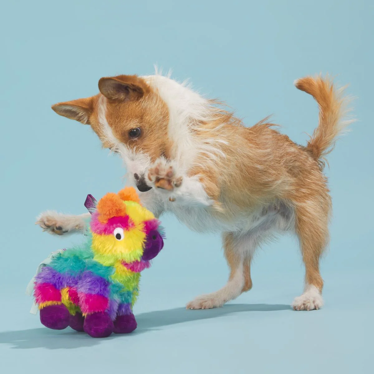 Full o' Fluff Pinata Plush Tug Dog Toy - Image 4