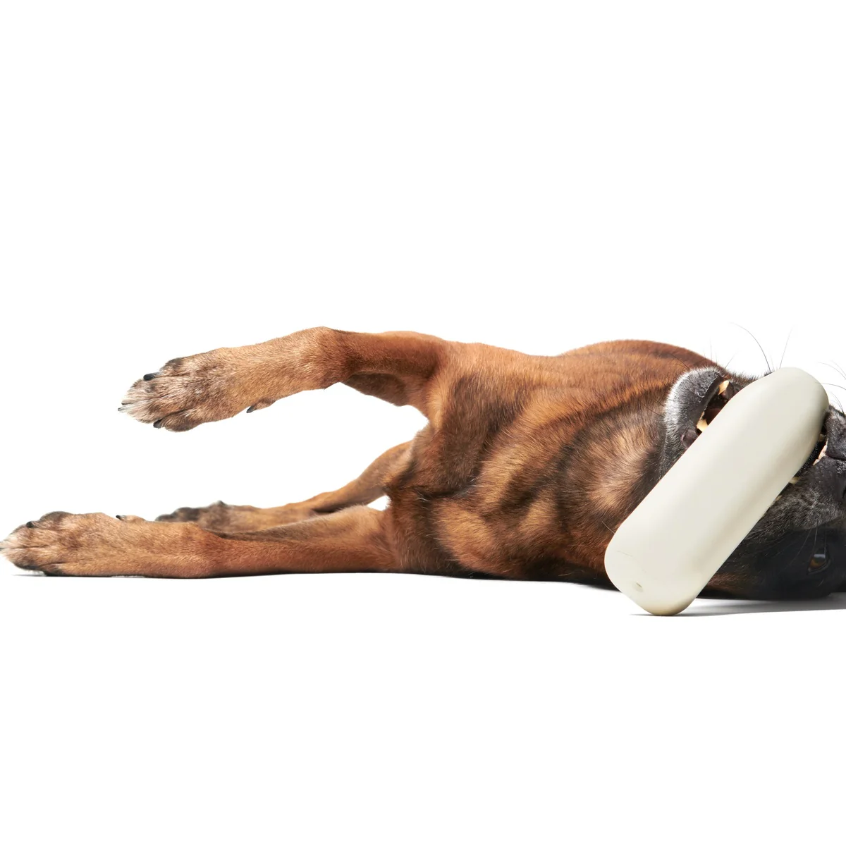 Fun Percent Milk Super Chewer Durable Fetch Dog Toy - Image 5