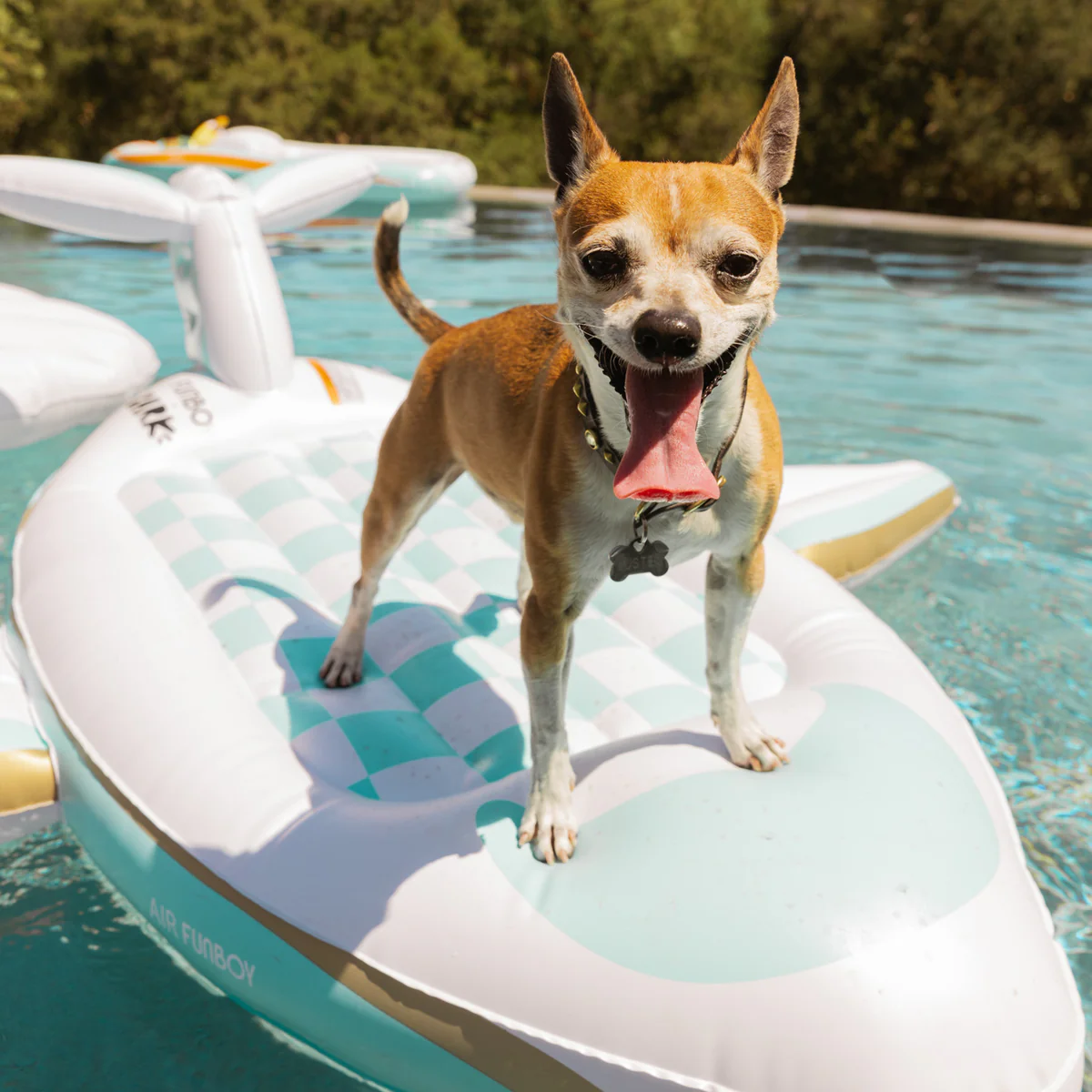 FUNBOY x Bark Private Jet Dog Float - Image 2