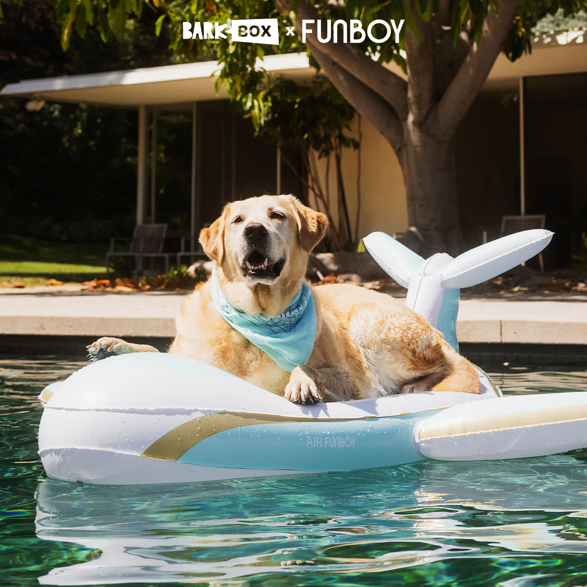 FUNBOY x Bark Private Jet Dog Float - Image 3