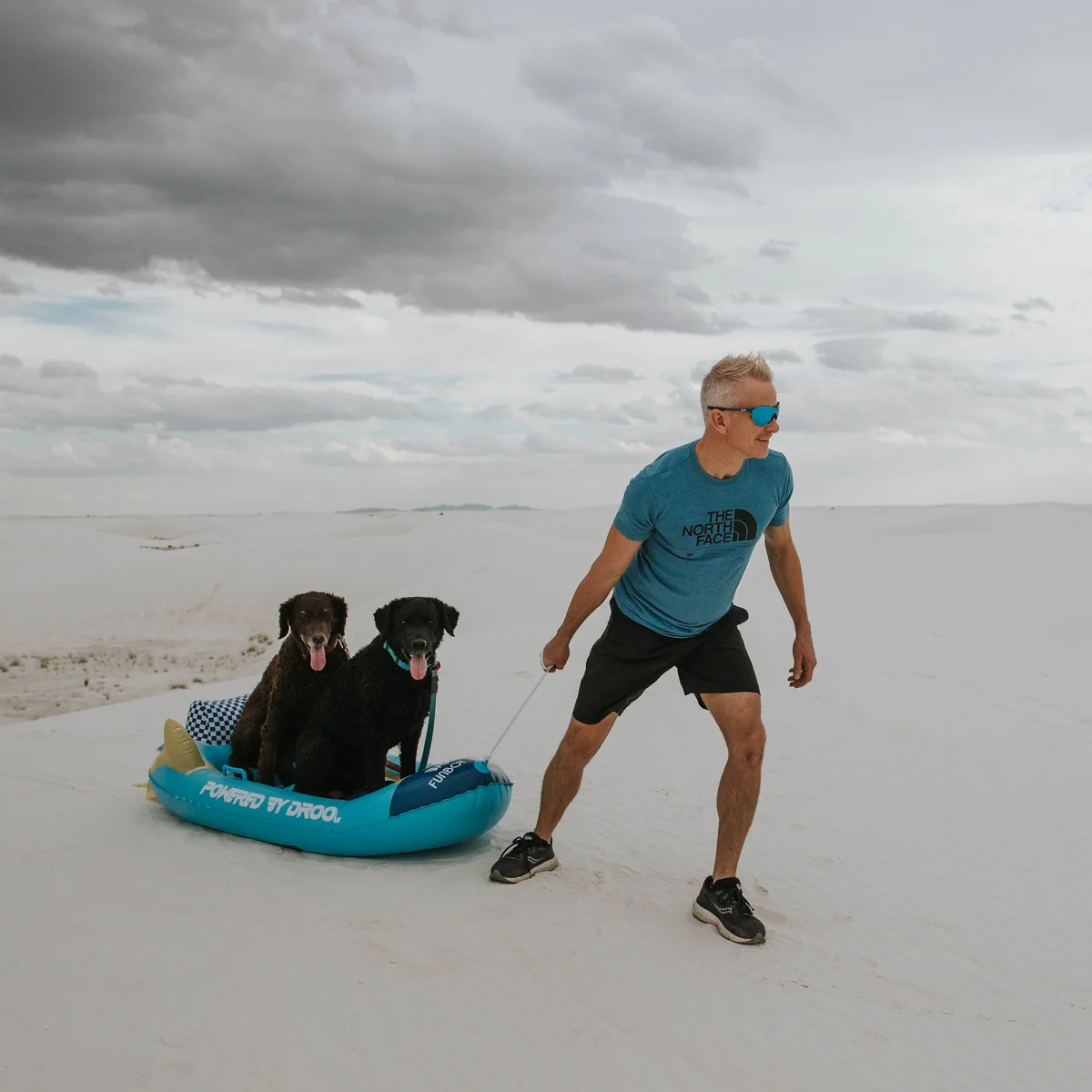 FUNBOY x BARK Dog Sled - Image 9